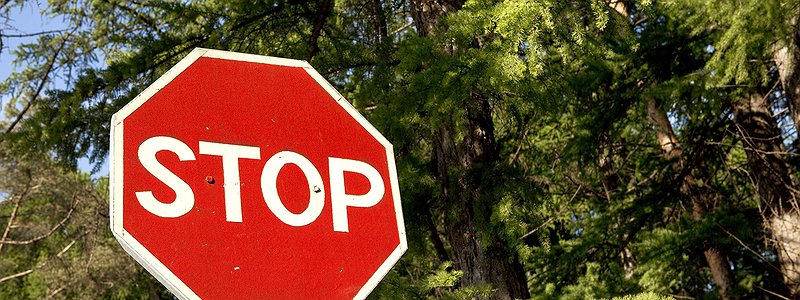 Newly reported Ontario car accident decision